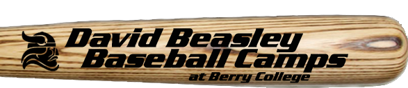 David Beasley Baseball Camps