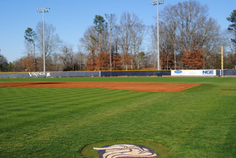 Prospect Camp David Beasley Baseball Camps